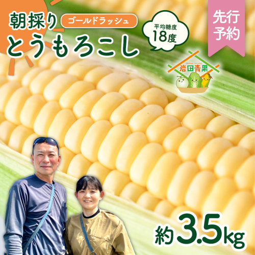 【先行予約 2026年6月中旬以降発送 】 【 令和8年産 】  朝採り とうもろこし （ ゴールドラッシュ ） 約 3.5kg トウモロコシ 朝採り 甘い 新鮮 スイートコーン コーン 野菜 極甘 岩田さん 2025 [AX058ya] 1974672 - 茨城県八千代町