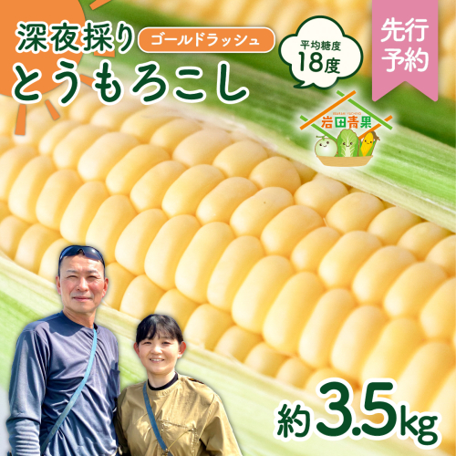 【先行予約 2026年6月中旬以降発送 】 【 令和8年産 】  深夜採り 朝出荷 とうもろこし （ ゴールドラッシュ ） 約 3.5kg トウモロコシ 深夜採り 甘い 新鮮 スイートコーン コーン 野菜 極甘 岩田さん 2026 [AX058ya] 1974672 - 茨城県八千代町