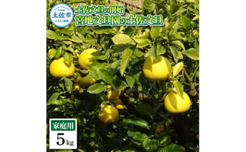 土佐文旦の創始 宮地文旦園の土佐文旦 家庭用2L 約5キロ 10～12個入り 5kg 1974758 - 高知県土佐市