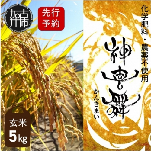 【先行予約】お米 化学肥料・農薬不使用“神喜舞” 玄米 5kg 197487 - 兵庫県加古川市