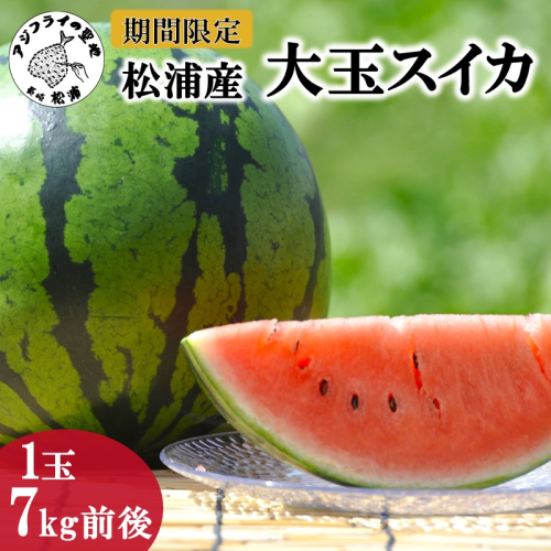 松浦産大玉スイカ( すいか 西瓜 野菜 夏野菜 産地直送 期間限定 数量限定 ミネラル 新鮮 甘い あまい 大玉 ギフト プレゼント 贈り物 予約 )【B1-116】 197489 - 長崎県松浦市