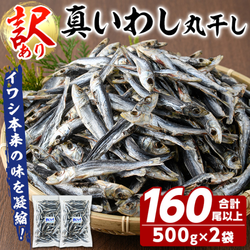 訳あり！真イワシ丸干し＜めざし＞(合計160尾以上・500g×2袋) 国産 鹿児島県産 阿久根市産 魚 魚介 水産 訳あり 訳アリ いわし 鰯 めざし マイワシ まいわし 真いわし 丸干し 丸干 チャック付き袋 【鈴木海産】a-14-62-z 1975208 - 鹿児島県阿久根市