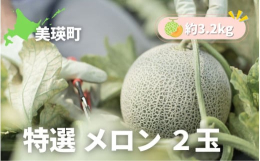 令和7年産の予約受付を開始しました！美瑛町産メロンを2玉(約3.2kg)お届けします！※天候により発送時期が前後する場合があります。 赤肉メロン 赤肉 北海道 道産 送料無料 産地直送 数量限定 果物