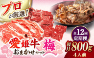 【全12回定期便】【令和7年4月より寄附金額見直し（値上げ）予定】「愛姫牛」店主におまかせ旬セット【梅】800g（4人前）愛媛県大洲市/有限会社 木村屋精肉店 小間切れ 角切り 赤身 牛肉 冷凍 冷凍肉 お肉 [AGCC059]