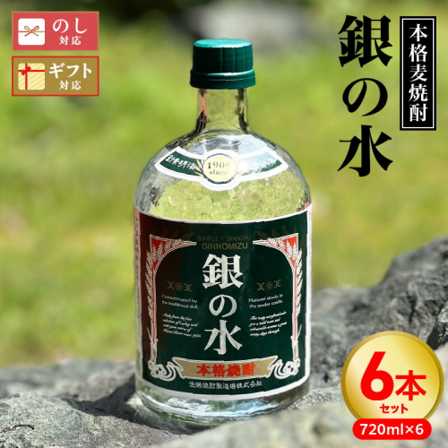 【本格麦焼酎】銀の水　720ｍｌ　６本セット N076-YD0257 1975254 - 宮崎県延岡市