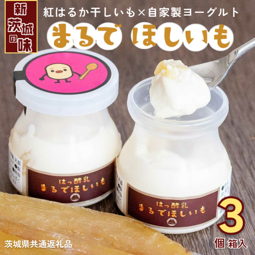 筑波ハム 『 まるで ほしいも 』 100g × 3個 ( ほしいもクン 特製 化粧箱 入り )( 茨城県共通返礼品 ) 自家製 ヨーグルト 紅はるか べにはるか 干し芋 干しいも デザート おやつ スイーツ [EN041sa] 1975388 - 茨城県桜川市