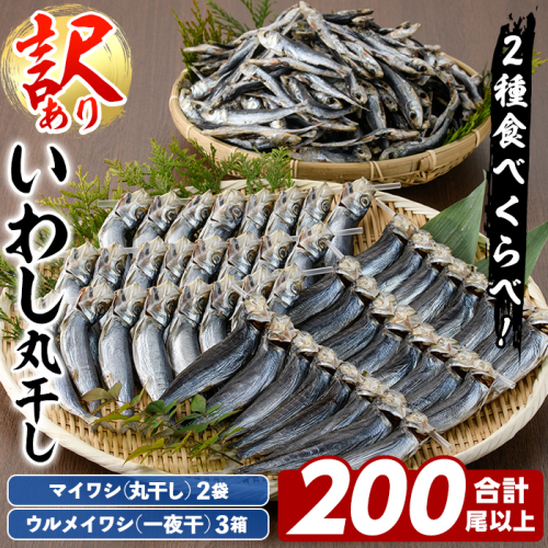 訳あり！イワシ丸干しセット(合計200尾以上) 国産 鹿児島県産 阿久根市産 魚 魚介 水産 訳あり 訳アリ いわし 鰯 ウルメイワシ うるめいわし めざし 真イワシ 真いわし マイワシ まいわし 丸干 一夜干 食べ比べ セット 詰め合わせ 【鈴木海産】akn091-03 1975391 - 鹿児島県阿久根市