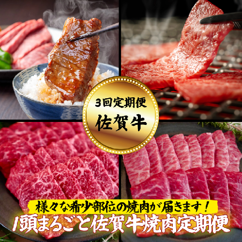 【定期便3回】【牧場直送】1頭まるごと佐賀牛焼肉定期便：B500-014 1975433 - 佐賀県佐賀市