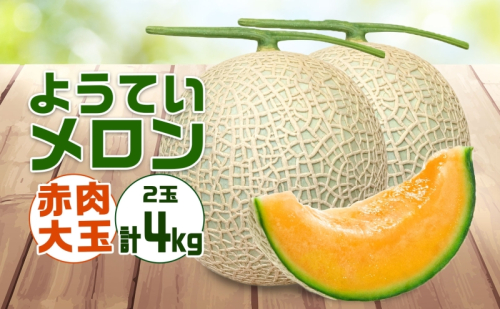 北海道 赤肉メロン 大玉 約2kg 2玉 メロン 赤肉 果物 フルーツ 甘い 完熟 スイーツ デザート 産直 国産 贈答品 お祝いギフト羊蹄山 JAようてい 送料無料 北海道 倶知安町  197549 - 北海道倶知安町