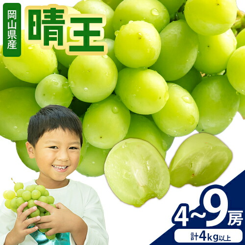 【2026年先行予約】シャインマスカット【晴王】 岡山県産 4～9房(計4kg以上) 株式会社Myself《2026年9月上旬-10月下旬頃出荷》マスカット 送料無料 岡山県 浅口市 ぶどう フルーツ 果物 贈り物 ギフト 1976186 - 岡山県浅口市