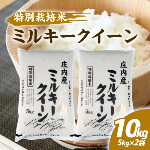 SA1481 令和4年産【精米】特別栽培米 ミルキークイーン 10kg(5kg×2袋