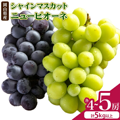 【2026年先行予約】シャインマスカット【晴王】 & ニューピオーネ 計5kg以上(各4～5房)  株式会社Myself《2026年9月上旬-10月下旬頃出荷》マスカット 送料無料 岡山県 浅口市 ぶどう フルーツ 果物 贈り物 ギフト 1976516 - 岡山県浅口市