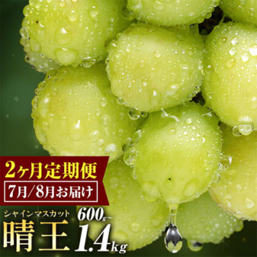 ぶどう シャインマスカット 晴王 600g 700g 1.2kg 1.4kg 1房 2房 2ヶ月定期便 彩美菜果《7月上旬-8月末頃出荷》 マスカット 送料無料 岡山県 浅口市 フルーツ 果物 贈り物 国産 岡山県産 くだもの 果物 7月 8月発送 【配送不可地域あり】 1978667 - 岡山県浅口市