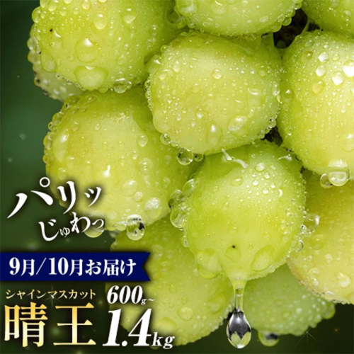 ぶどう シャインマスカット 晴王 600g 700g 1.2kg 1.4kg 1房 2房 彩美菜果《9月上旬-11月中旬頃出荷》 マスカット 送料無料 岡山県 浅口市 フルーツ 果物 贈り物 国産 岡山県産 くだもの 果物 青果物 9月～10月発送 【配送不可地域あり】 1978684 - 岡山県浅口市