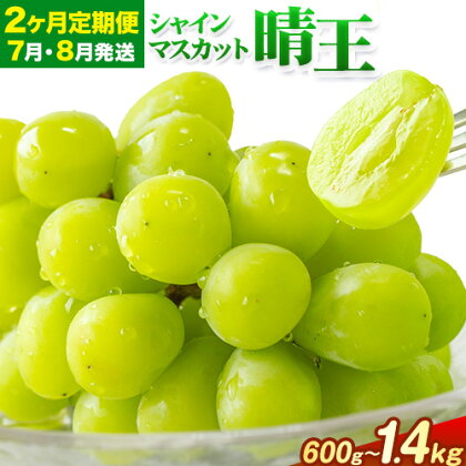 【2ヶ月定期便】ぶどう シャインマスカット 晴王 600g 700g 1.2kg 1.4kg 1房 2房 ハレノフルーツ(アストライ)《7月上旬-8月末頃出荷》岡山県 浅口市 送料無料 フルーツ 果物 マスカット お取り寄せフルーツ【配送不可地域あり】 1978743 - 岡山県浅口市