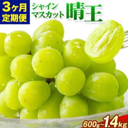 【3ヶ月定期便】ぶどう シャインマスカット 晴王 600g 700g 1.2kg 1.4kg 1房 2房 ハレノフルーツ(アストライ)《7月上旬-9月末頃出荷》岡山県 浅口市 送料無料 フルーツ 果物 マスカット お取り寄せフルーツ【配送不可地域あり】 1978777 - 岡山県浅口市