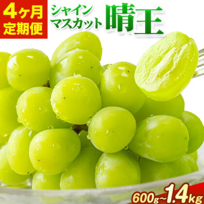 【4ヶ月定期便】ぶどう シャインマスカット 晴王 600g 700g 1.2kg 1.4kg 1房 2房 ハレノフルーツ(アストライ)《7月上旬-10月末頃出荷》岡山県 浅口市 送料無料 フルーツ 果物 マスカット お取り寄せフルーツ【配送不可地域あり】 1978778 - 岡山県浅口市