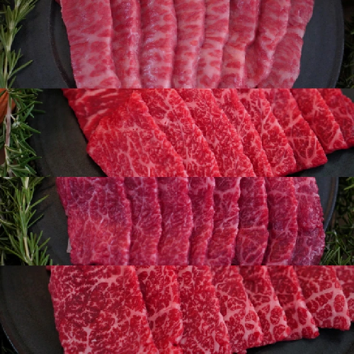 【牧場定期便】1頭まるごと佐賀産和牛の焼肉定期便 全6回：B980-001 1978783 - 佐賀県佐賀市