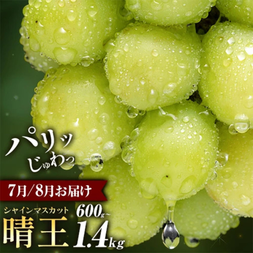 ぶどう シャインマスカット 晴王 600g 700g 1.2kg 1.4kg 1房 2房 彩美菜果《7月上旬-9月中旬頃出荷》 マスカット 送料無料 岡山県 浅口市 フルーツ 果物 贈り物 国産 岡山県産 くだもの 果物 青果物 7月～8月発送 【配送不可地域あり】 1978784 - 岡山県浅口市