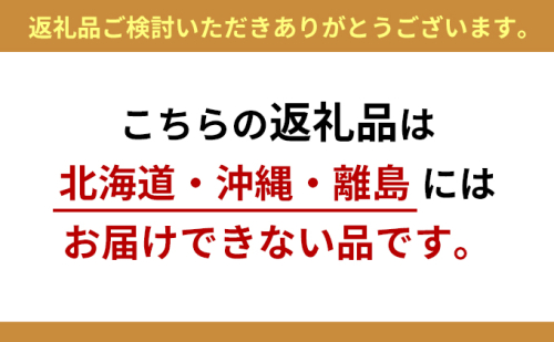 光の楽園　ライトトネリコ1.0【配送不可：北海道・沖縄・離島】