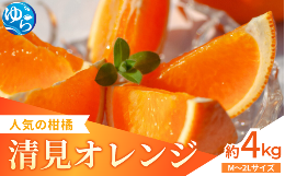 清見オレンジは隔年結果が激しく二年に一度しか豊作にならない傾向があります。色々な技術も試してみましたが思うような結果が得られずいました。ですが二年に一度必ず美味しい清見ができるので、今回ご用意させてい