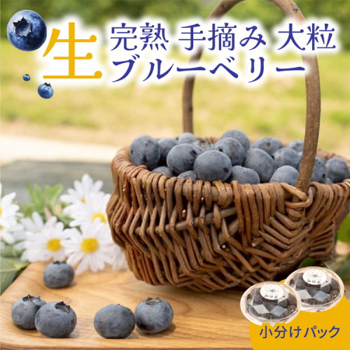 大粒ブルーベリー品種ミックス 500g×2パック 果物 くだもの フルーツ ヨーグルト ジャム 国産 愛知県産 ※2026年6月上旬～8月上旬頃に順次発送予定 ※北海道・沖縄・離島への配送不可 1979397 - 愛知県美浜町