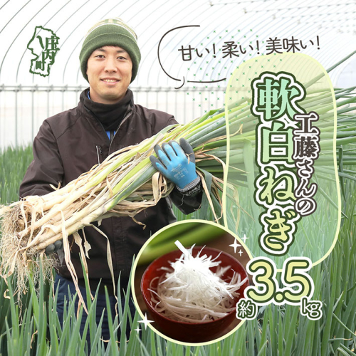 庄内町産 工藤さんの軟白ねぎ Lサイズ30本 約3.5kg（入金期限：2025.2.20） 1979571 - 山形県庄内町