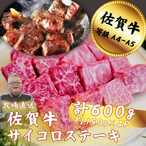 佐賀牛 サイコロステーキ 600g：B200-065 1979721 - 佐賀県佐賀市