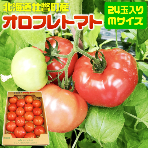 ＜2026年3月上旬より順次お届け＞北海道壮瞥産 オロフレトマト24玉入り（Mサイズ） 【 ふるさと納税 人気 おすすめ ランキング 北海道 壮瞥 オロフレトマト 野菜 トマト 産地直送 季節商品 贈り物 贈物 贈答 ギフト 大容量 詰合せ セット 】 SBTA028 1980030 - 北海道壮瞥町