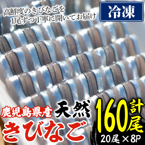 ＜冷凍＞鹿児島県阿久根産 天然きびなごのお刺身(計160尾・20尾×8パック) 国産 魚介 魚貝 海産物 鮮魚 刺身 天ぷら 冷凍配送 キビナゴ 海鮮丼 食品 セット 詰め合わせ 水産加工品 【濱崎魚類】a-12-227-z 1980046 - 鹿児島県阿久根市