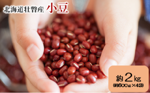 <2025年11月中旬よりお届け>北海道壮瞥産　小豆　約2kg（約500g×4袋）SBTA038 1980057 - 北海道壮瞥町
