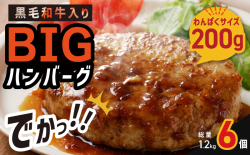 黒毛和牛入り BIGハンバーグ 200g×6個 G1638 1980122 - 大阪府泉佐野市