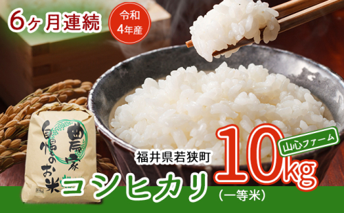 【6ヶ月連続】令和5年産福井県若狭町コシヒカリ（一等米）10kg（山心ファーム） 198018 - 福井県若狭町