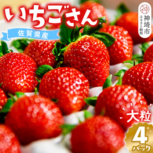 佐賀県産『いちごさん』4Pセット【苺 イチゴ ブランドいちご 大粒 果物 フルーツ デザート ふるさと納税】(H108101) 1980294 - 佐賀県神埼市