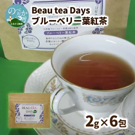 Beau tea Days ブルーベリー葉 紅茶　N048-YZA096 198035 - 宮崎県延岡市