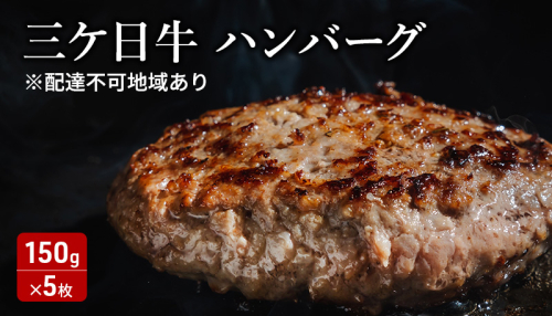 三ケ日牛ハンバーグ 150g×5枚セット 三ケ日牛 牛肉 ハンバーグ セット 冷凍 惣菜 静岡 浜松市 1980611 - 静岡県浜松市