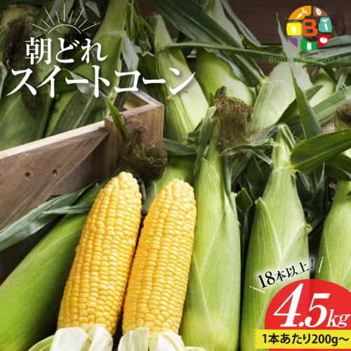 BG035　【令和8年度出荷分】5月下旬から出荷！ 朝どれ スイートコーン 200g以上×18本以上 4.5kg ～名水百選の里 島原産～ 198071 - 長崎県島原市