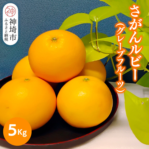 【2026年3月中旬より発送開始】さがんルビー 5kg(グレープフルーツ)【柑橘 フルーツ デザート ジューシー リフレッシュ】(H116149) 1980732 - 佐賀県神埼市