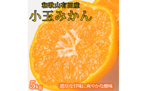 【先行予約】有田の小粒みかん5kg　(S～3Sサイズ混合) ※2026年11月下旬頃〜12月下旬頃に順次発送予定 / みかん ミカン 蜜柑 温州みかん 柑橘 フルーツ 果物 くだもの 和歌山【uot845】