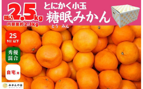 熟成 みかん とにかく 小玉 箱込2.5kg ( 内容量 2.3kg ) 2Sサイズ以下 秀品 優品 混合 有田みかん 和歌山産 産地直送 家庭用 【みかんの会】 1981041 - 和歌山県有田川町