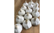 [10-A7] ガツンとくるにんにく　約1.0kg　17球前後