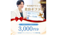 [10-H9]一宮美容クリニックで使えるふるさとギフトチケット3,000円　｜美容医療　美容クリニック