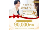 [300-2]一宮美容クリニックで使えるふるさとギフトチケット90,000円　｜美容医療　美容クリニック