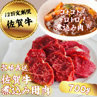 【定期便12回】佐賀牛 煮込み用肉 700g：C172-013