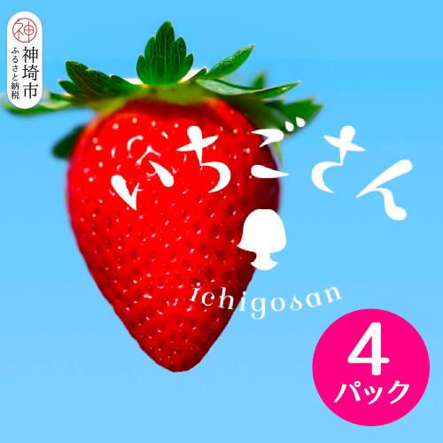 いちごさん4パック【果物 くだもの フルーツ イチゴ 苺 佐賀】(H116133) 1982010 - 佐賀県神埼市