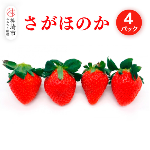 さがほのか4パック【果物 くだもの フルーツ いちご イチゴ 苺 佐賀】(H116134) 1982012 - 佐賀県神埼市