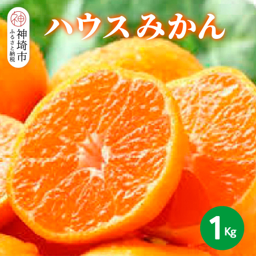 【2025年6月上旬より発送開始】ハウスみかん 1kg【みかん 冷凍みかん 柑橘 フルーツ デザート】(H116138) 1982270 - 佐賀県神埼市