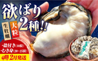 [2月4日(水)着]牡蠣 生食 むき身 殻付き かき カキ 大粒でぷりっぷり![生牡蠣]かきうちの 牡蠣 むき身 500g&殻付き 10個 かき 海鮮 和食 新鮮 簡単 レシピ 広島県産 江田島市/株式会社かきうち [XBK010] 牡蠣 生食 むき身 殻付き 殻付 殻 かき カキ 生牡蠣 広島牡蠣 オイスター カキフライ 魚介類 魚介 貝類 海鮮 広島県産 国産 産地直送 贈答 ギフト 特産品