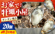 [3月21日(土)着]牡蠣 殻付き かき カキ [生牡蠣]究極の漁師めし!かきうちの殻付き牡蠣ガンガン焼き 20個 かき 海鮮 和食 海産物 簡単 レシピ 広島県産 江田島市/株式会社かきうち [XBK011] 牡蠣 むき身 殻付き 殻付 殻 かき カキ 生牡蠣 広島牡蠣 オイスター カキフライ 魚介類 魚介 貝類 海鮮 広島県産 国産 産地直送 贈答 ギフト 特産品