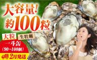 [3月4日(水)着]牡蠣 生食 殻付き かき カキ [生牡蠣]大容量!かきうちの殻付き一斗缶 かき 海鮮 和食 海産物簡単 レシピ 広島県産 江田島市/株式会社かきうち [XBK015] 牡蠣 生食 むき身 殻付き 殻付 殻 かき カキ 生牡蠣 広島牡蠣 オイスター カキフライ 魚介類 魚介 貝類 海鮮 広島県産 国産 産地直送 贈答 ギフト 特産品